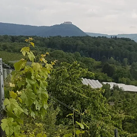 Ferienwohnung Burgblick im Neuffener Tal mit Sauna und Wallbox Frickenhausen  Exterior foto