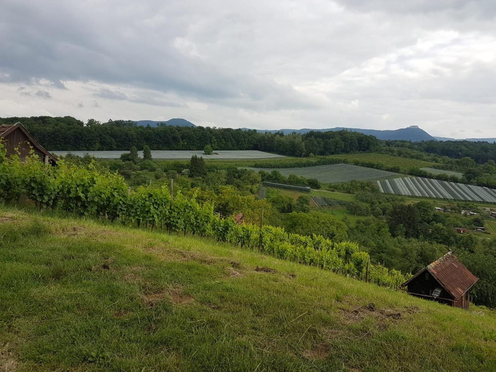 Burgblick Im Neuffener Tal Mit Sauna Und Wallbox * Frickenhausen (Baden-Wurttemberg)