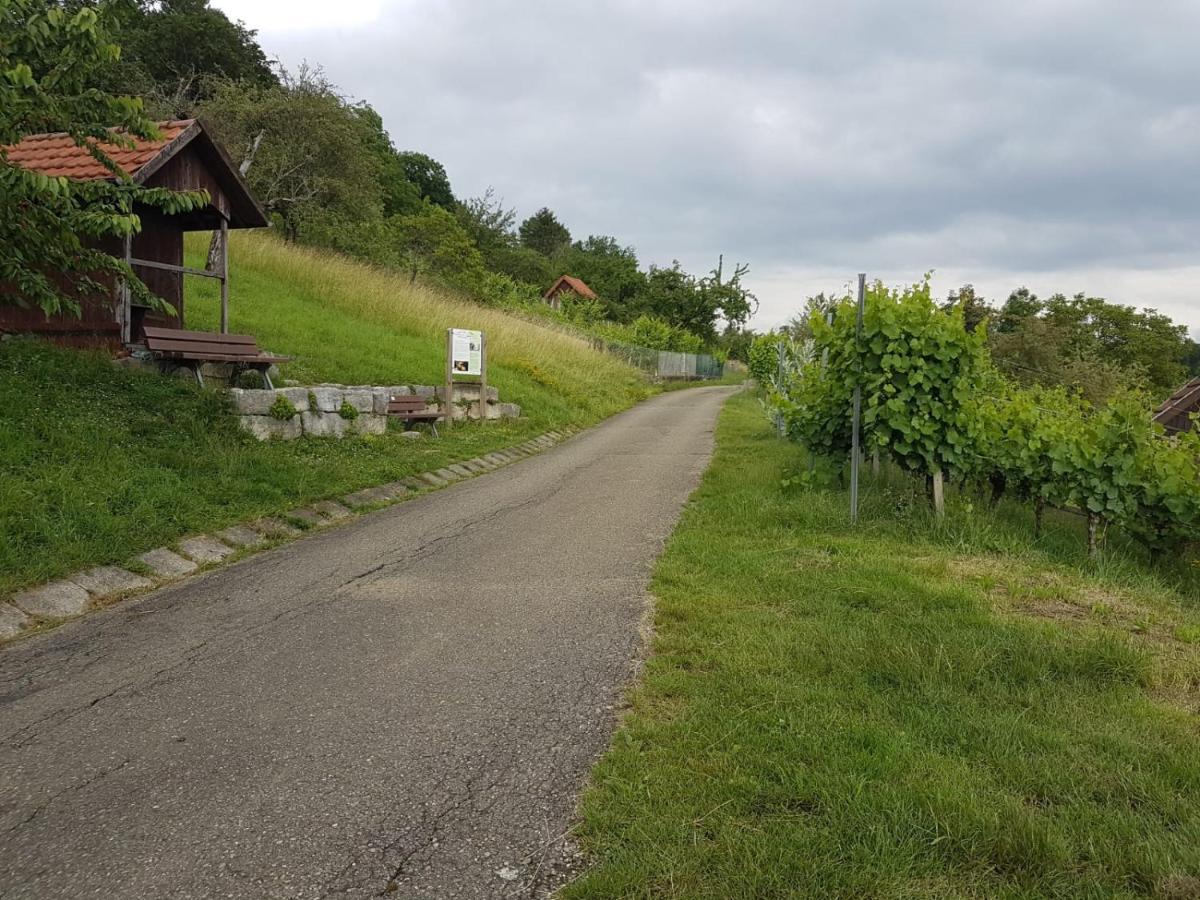 Apartment Burgblick Im Neuffener Tal Mit Sauna Und Wallbox
