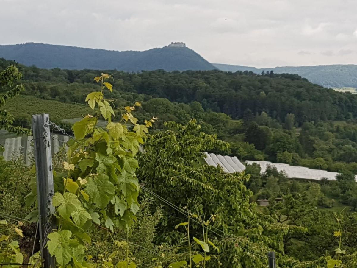 Burgblick Im Neuffener Tal Mit Sauna Und Wallbox Apartment Frickenhausen (Baden-Wurttemberg)